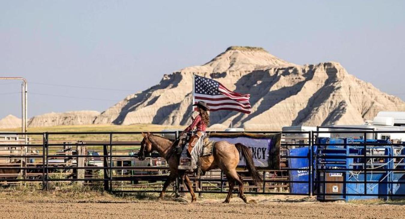 Interior Rodeo