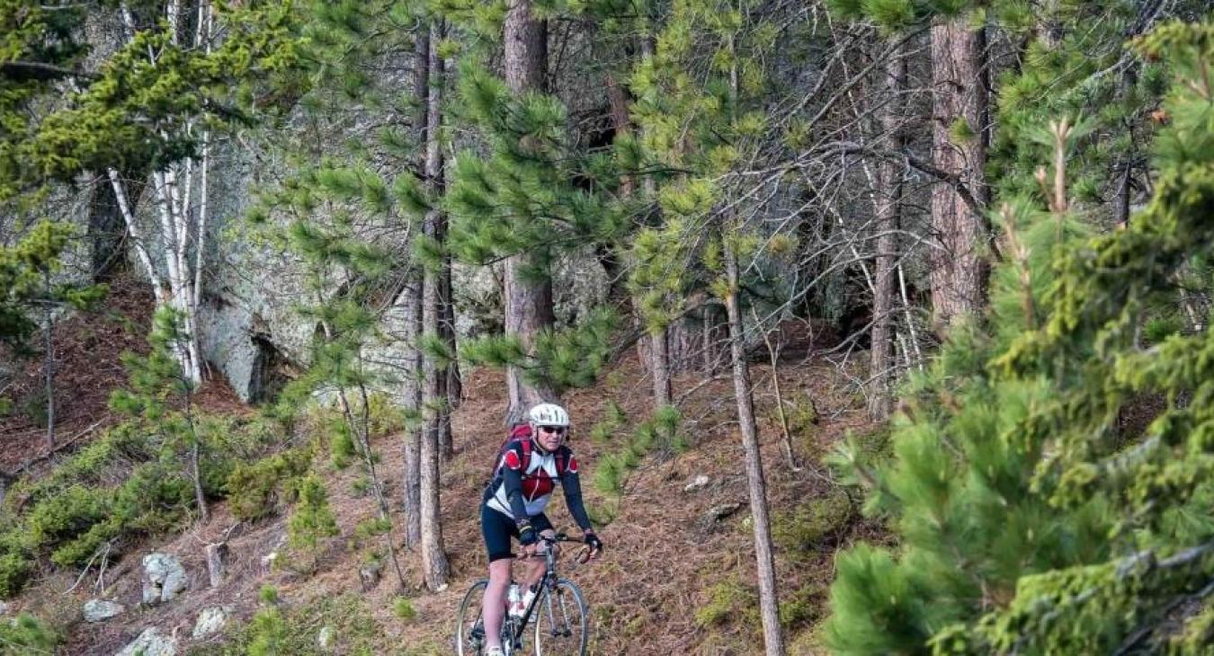 Biker in forest