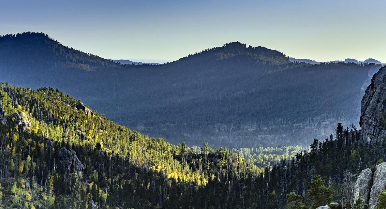 Black Hills & Badlands