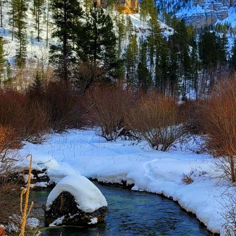 Spearfish Canyon winter colors near Roughlock 