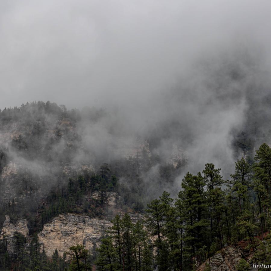 Fog in Spearfish Canyon