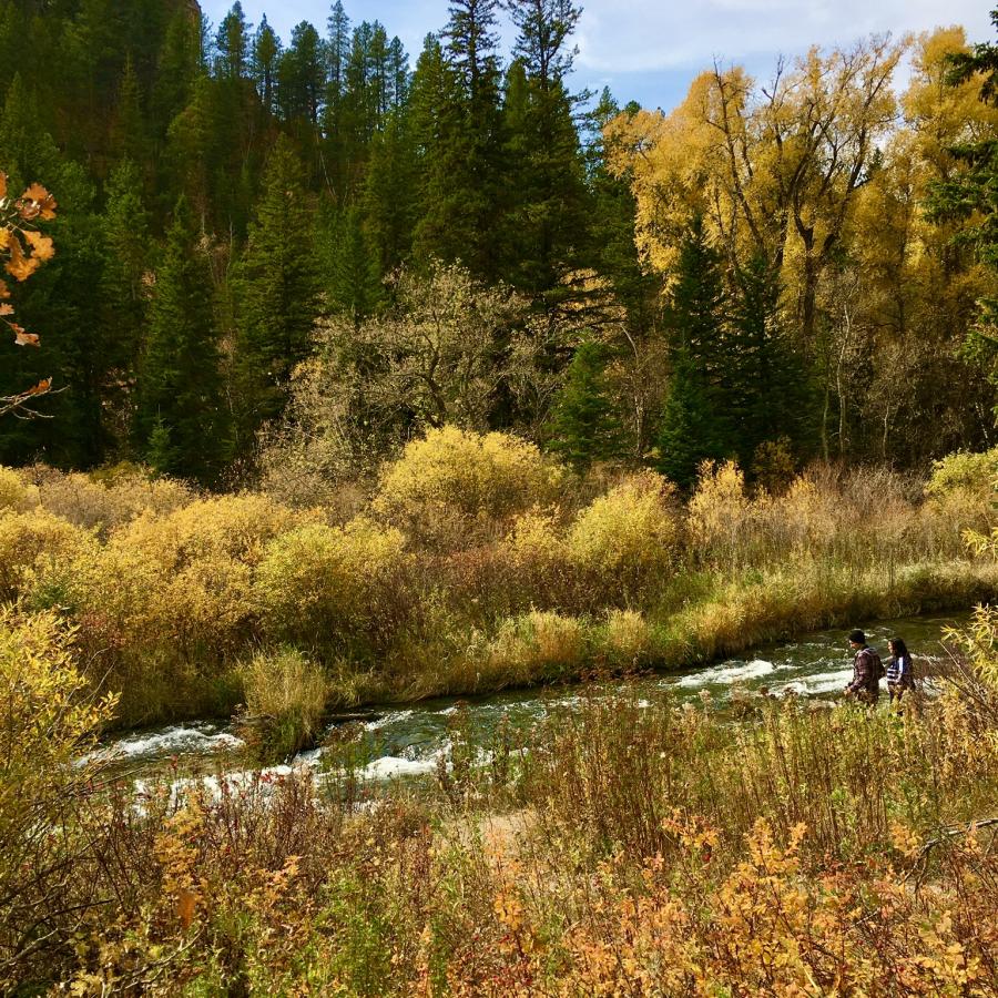 Spearfish Canyon fall beauty 