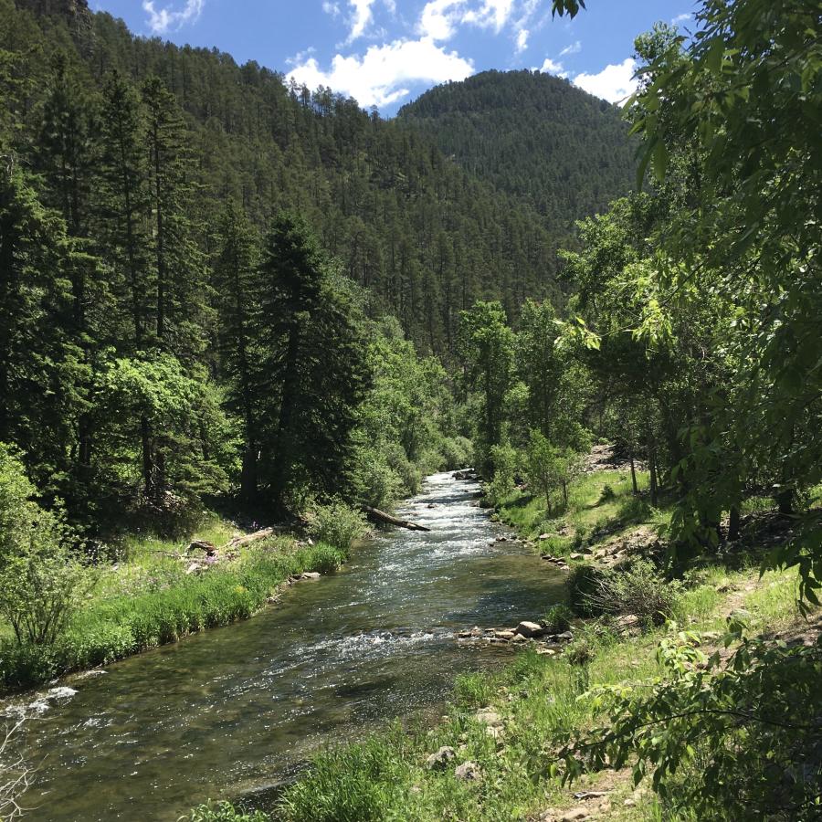 Spearfish Canyon Serenity 