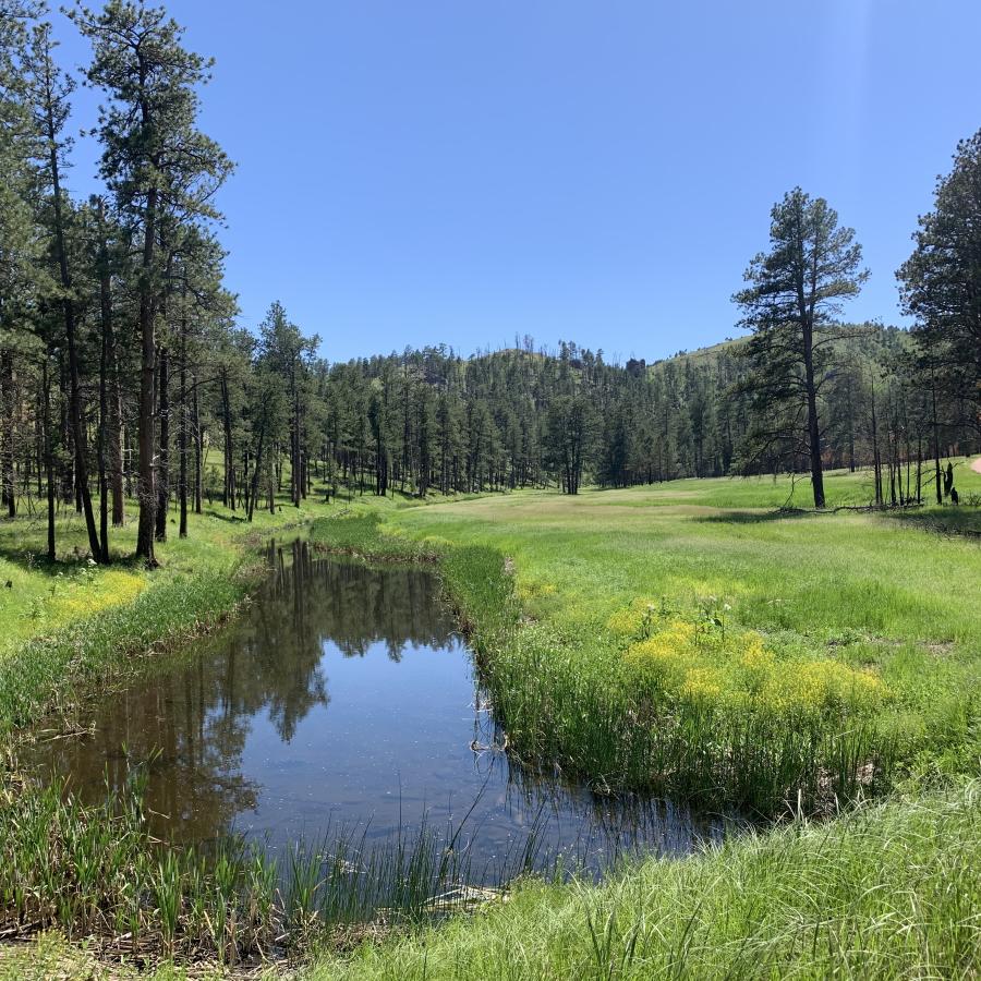 Area near horse camp on Lame Johnny Rd