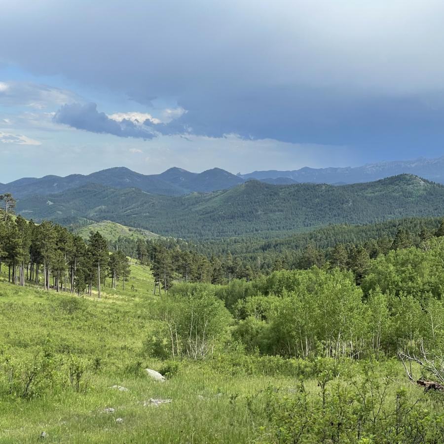 Looking south from the top of the mountain where my parents cabin is located. Close to Seth Bullock Lookout Tower