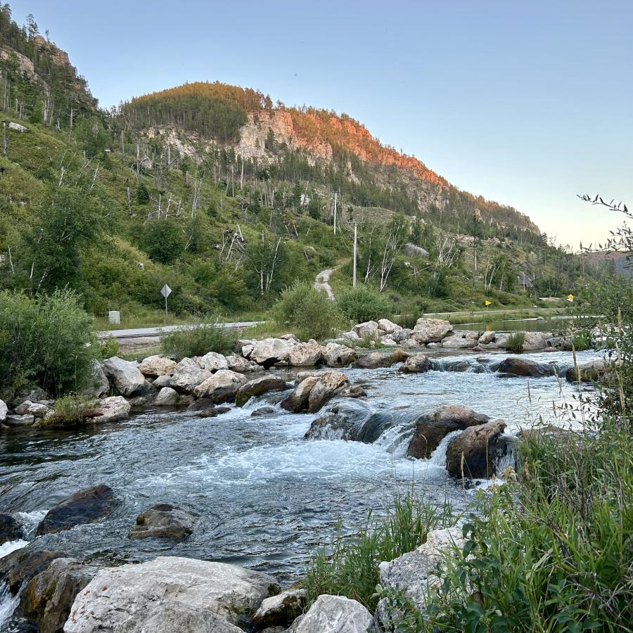 Black Hills beauty; landscape variations 