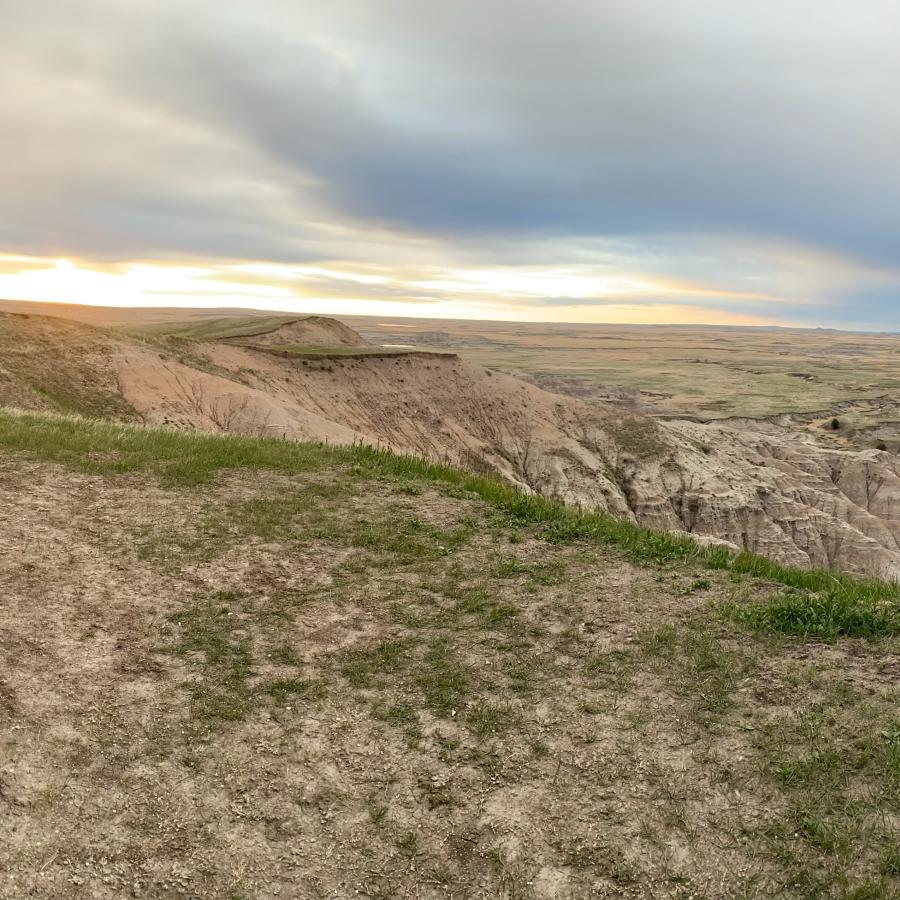 Dog looking out from car trunk over a Badlands sunrise