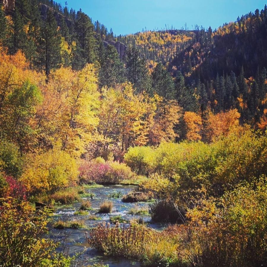 Fall Colors along Little Spearfish Creek