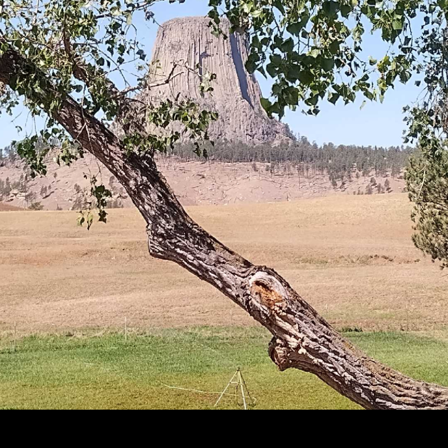 Devils Tower 