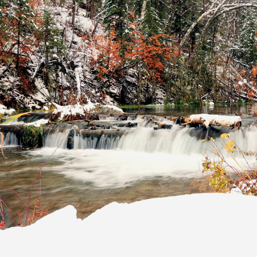 Fall Snow of Spearfish Canyon